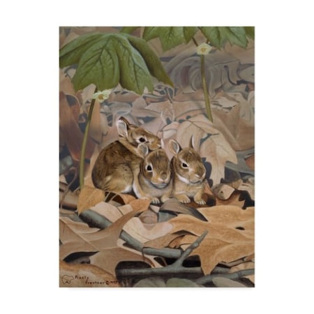 Rusty Frentner 'Bunnies' Canvas Art,35x47